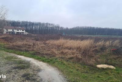 Spațiu comercial, în Corbeanca - 11