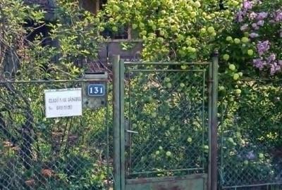 Casă cu 3 camere în Craidorolț - 5
