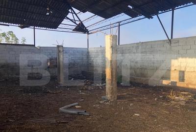 Ferma de vanzare in jud. Covasna (suprafata teren 4824, supr Ferma de vanzare in jud. Covasna (suprafata teren 4824, supr - 2