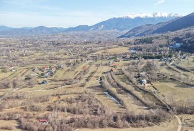 Teren Construcții intravilan de 4043 mp, în Predeluț - 44