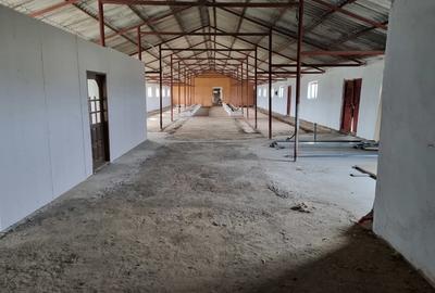 Spațiu comercial, de 484 mp, în Speriețeni - 2