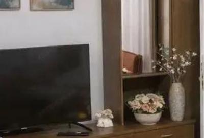 Apartament cu 3 camere decomandat în Dâmbu Pietros - 3