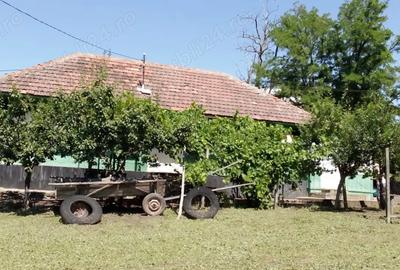 Casa de vanzare, sat Gugesti, comuna Botesti, jud. Vaslui, 34500 neg. - 4