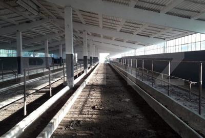 Teren de 950000 mp, în Iosefin - 3