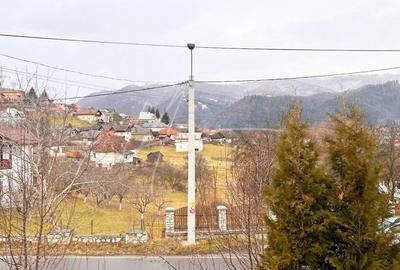 Vila-Casa de vacanta I Potential turistic I 8 camere I Rucar - 14