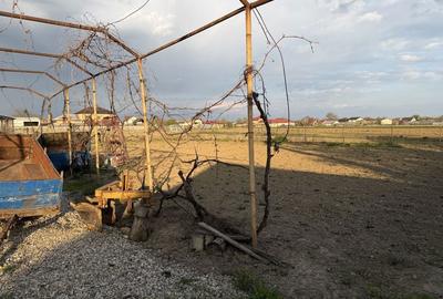 Casă cu 3 camere în Lungulețu - 3