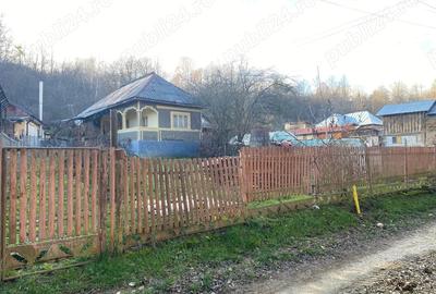 Vand casa cu teren in Vi?ine?ti, Dambovi?a zona lini?tita, natura, aer curat - 2