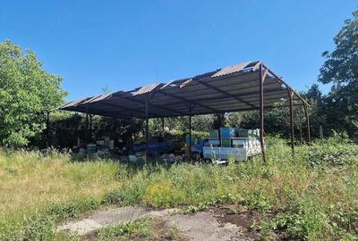 Teren de 7075 mp, în Bârsa - 7