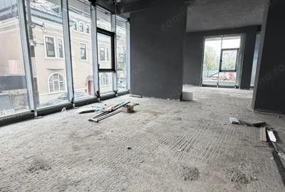 Zona P-ta Alba Iulia sp 165 mp open space +terasa 120 mp - 7