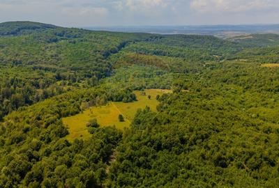 COMISION 0% Teren 1020mp / Intravilan/PUZ/ Grid - 6