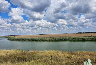 Teren construibil cu toate utilitatile Teren construibil cu toate utilitatile - 1