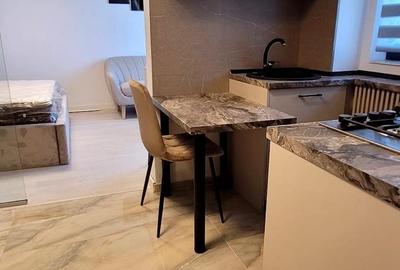 Apartament cu 1 camera Visan - 8