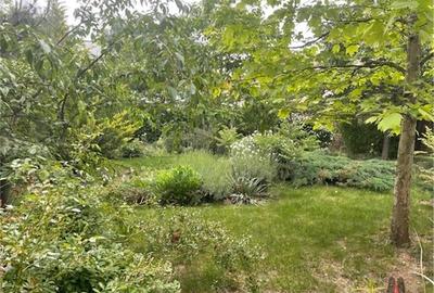 VILA INDIVIDUALA P+1 / PIPERA / DRUMUL BISERICII / 1350 TEREN VILA INDIVIDUALA P+1 / PIPERA / DRUMUL BISERICII / 1350 TEREN - 7