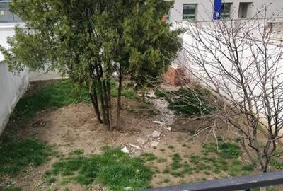 Casă cu 8 camere cu Canalizare în Parcul Circului - 8