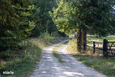 Spațiu comercial, în Sohodol - 8
