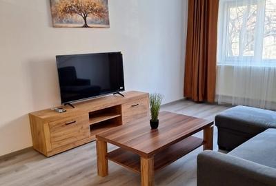 Apartament cu 2 camere decomandat, mobilat în Podul de Fier - 9