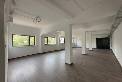 Spatii birouri, showroom, de la 100mp la 220mp, fata Carrefour Felicia - 9