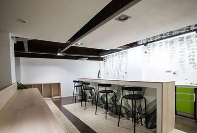 Kiseleff-Piata 1Mai subsol si Parter amenajat si utilat - 16