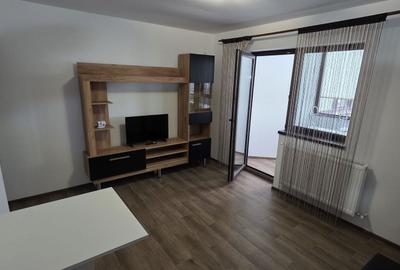 Apartament cu 2 camere semidecomandat în Manolache - 7