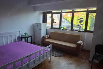 Garsoniera primitoare - 5