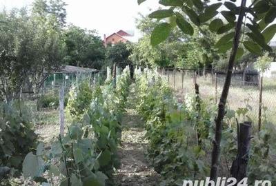 Casă cu 6 camere cu Teren 1806 Mp în Mărăcineni - 2