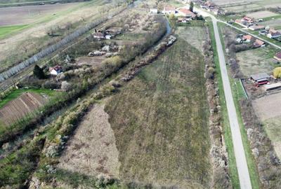 Teren intravilan Balint 22.500 mp - 14