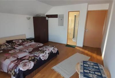 Spațiu comercial, de 200 mp, în Băjești - 4