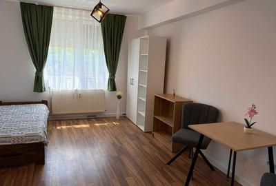 Garsonieră nedecomandată în Nufărul - 4