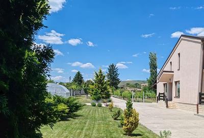 Casă cu 3 camere în Jercălăi - 8