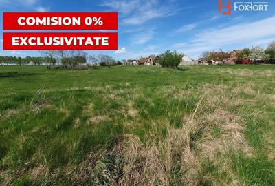 Comision 0% Teren intravilan 3000 mp in Padureni Jebel - 6