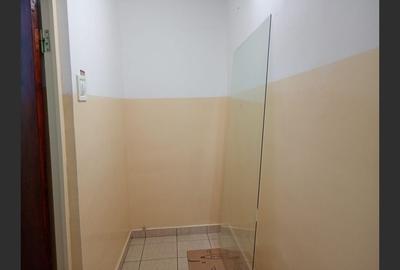 SPATIU COMERCIAL MAZEPA - 2