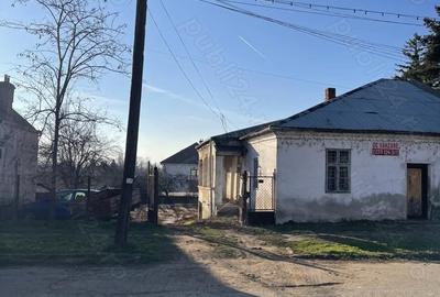 Casă cu Teren 800 Mp în Calafat - 3