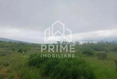 Teren extravilan de vanzare in Lancram la 300 m de Lukoil, 6000 mp.