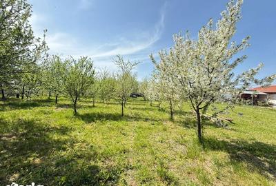 Teren de 1190 mp, în Chevereșu Mare - 3