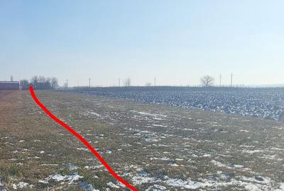 Spațiu comercial, în Central - 2