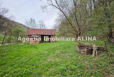 Teren intravilan 1.700 mp + 6.600 mp Padure de foioase + 1.200 mp Padure de foioase, Sat Nojag. - 15