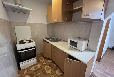 Apartament cu doua camere Mehala Apartament cu doua camere Mehala - 4