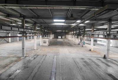 Spațiu industrial, de 20,702 mp, în Timișoara - 6