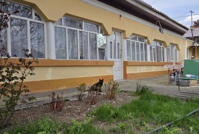 Casă cu 4 camere în Băneasa