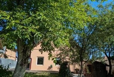 Clădire multifuncțională de vânzare sau închiriere – 7 Noiembrie - 1