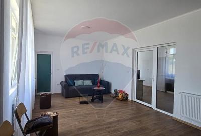 Casa de Vis la Macea - Complet Renovata si Gata de Locuit! - 5