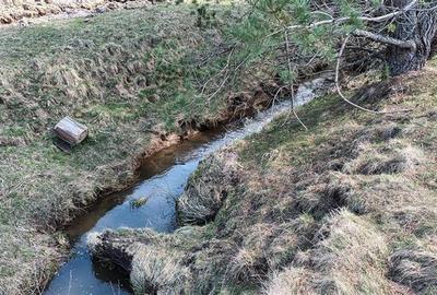 Teren intravilan intr-o zona mirifica, cu apa curgatoare, Zarnesti - 7