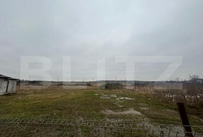 Teren de 1716 mp, în Priseaca - 1