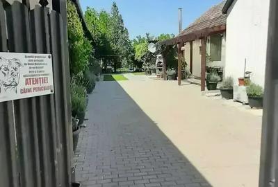 Casă cu 4 camere cu Teren 1101 Mp în Becicherecu Mic - 4