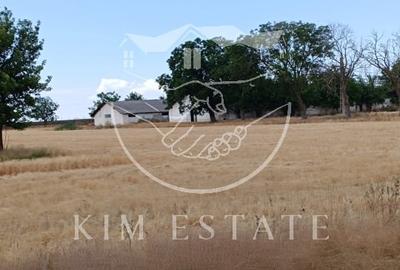 Ferma Pantelimon 10 hectare - 2