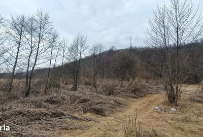 Teren de 2800 mp, în Sovata - 6