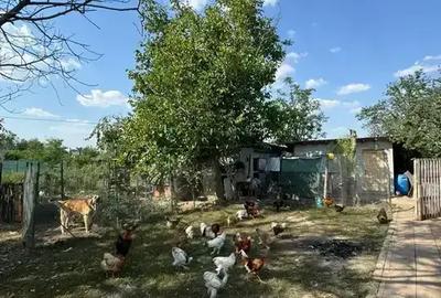 Casă cu 5 camere cu Canalizare în Ion Roată - 8