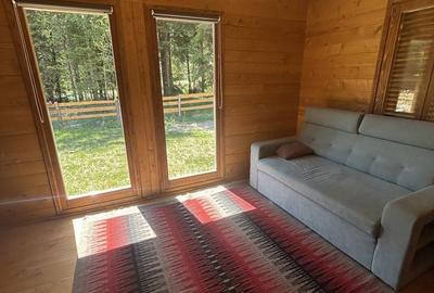 Casă cu Teren 5500 Mp în Sântimbru - 11