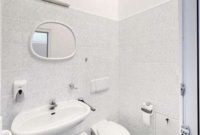 Spatiu comercial, zona centrala, Baia Mare - 10
