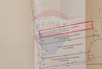 Teren agricol extravilan de 2500 mp, în Glăjărie - 12